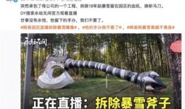 最新爆料暴雪事件视频播放,揭秘背后惊人真相